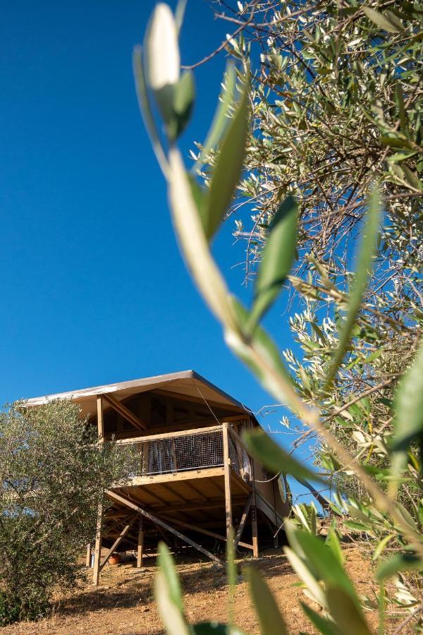 Glamping Podere San Jacopo Маса Маритима Екстериор снимка
